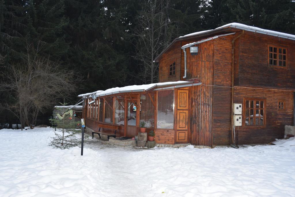 Persey Villa Boroveț Exterior foto